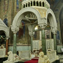 Lions in the cathedral